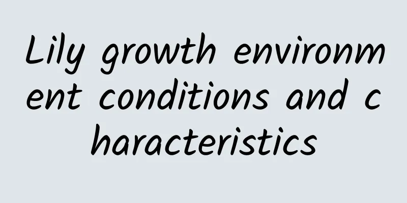 Lily growth environment conditions and characteristics