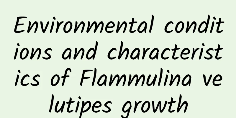 Environmental conditions and characteristics of Flammulina velutipes growth
