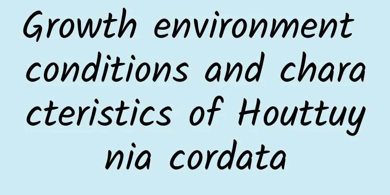 Growth environment conditions and characteristics of Houttuynia cordata