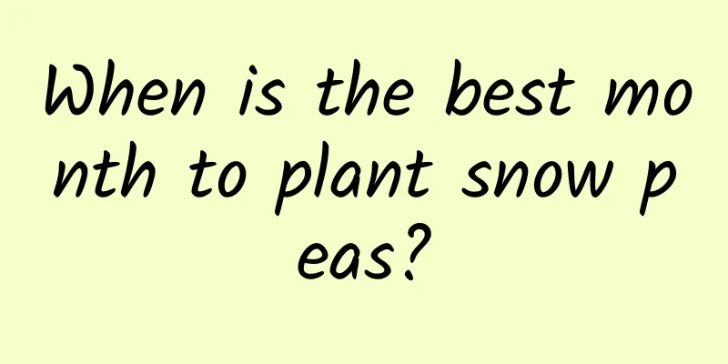 When is the best month to plant snow peas?