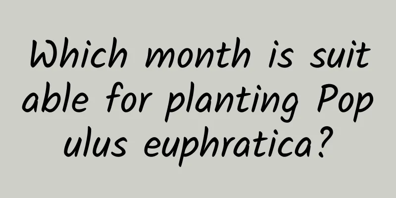 Which month is suitable for planting Populus euphratica?