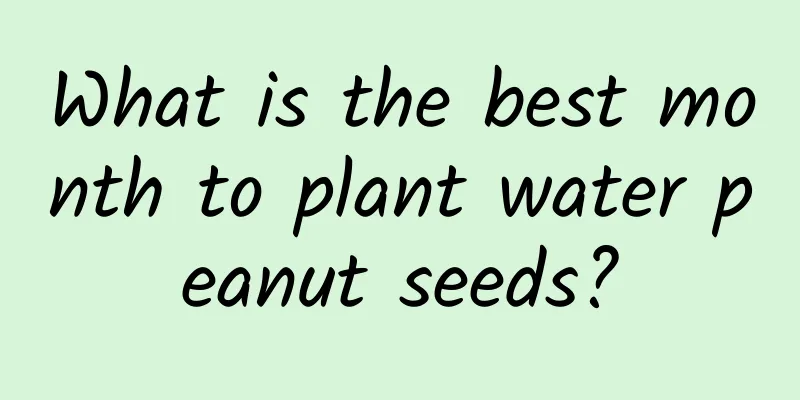What is the best month to plant water peanut seeds?