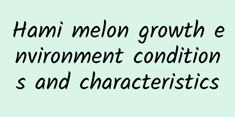Hami melon growth environment conditions and characteristics