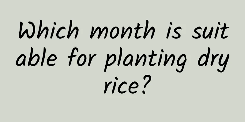 Which month is suitable for planting dry rice?