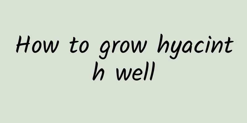How to grow hyacinth well