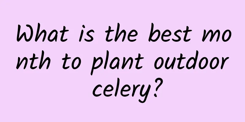 What is the best month to plant outdoor celery?