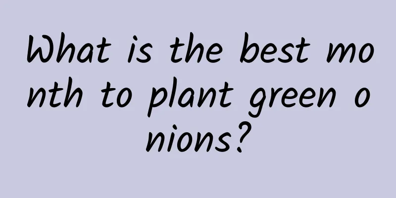 What is the best month to plant green onions?