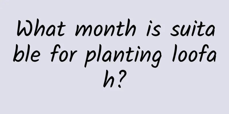 What month is suitable for planting loofah?