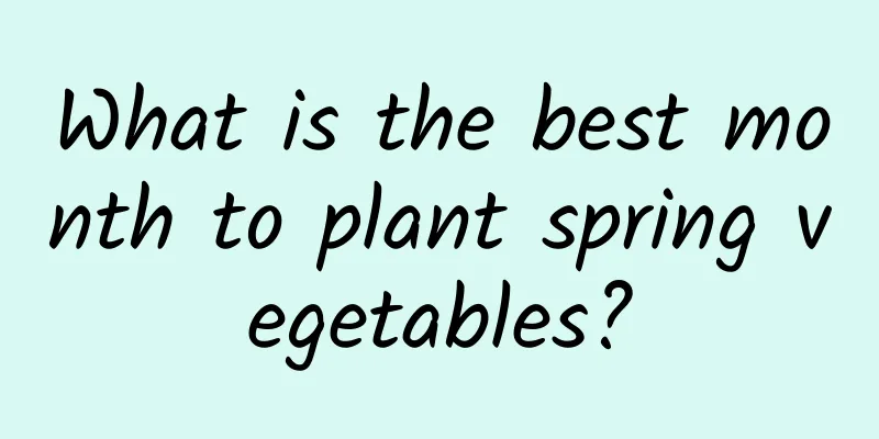 What is the best month to plant spring vegetables?