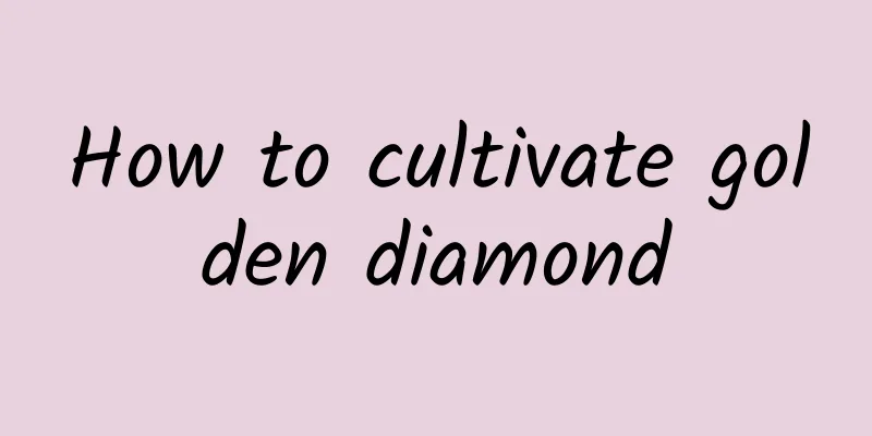 How to cultivate golden diamond