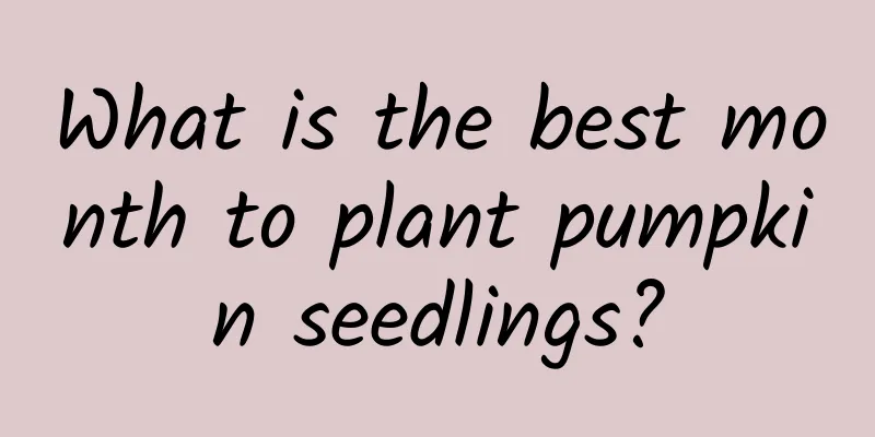 What is the best month to plant pumpkin seedlings?