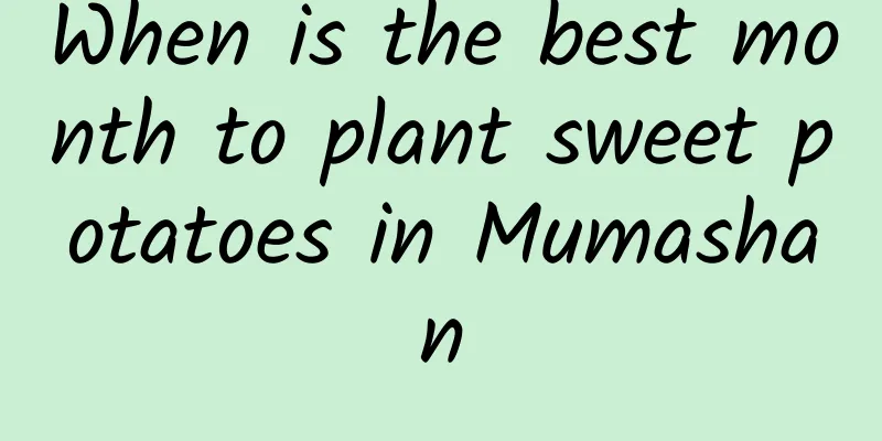 When is the best month to plant sweet potatoes in Mumashan