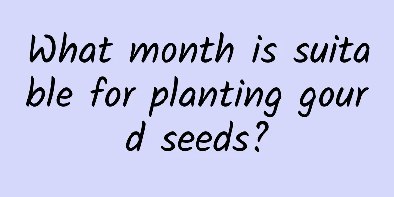 What month is suitable for planting gourd seeds?
