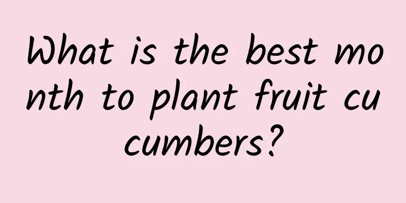 What is the best month to plant fruit cucumbers?
