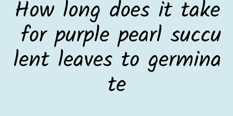 How long does it take for purple pearl succulent leaves to germinate