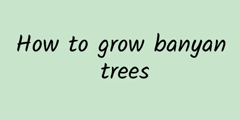How to grow banyan trees