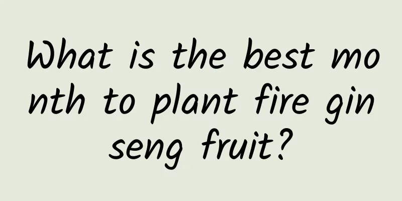 What is the best month to plant fire ginseng fruit?