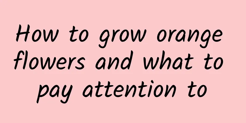 How to grow orange flowers and what to pay attention to