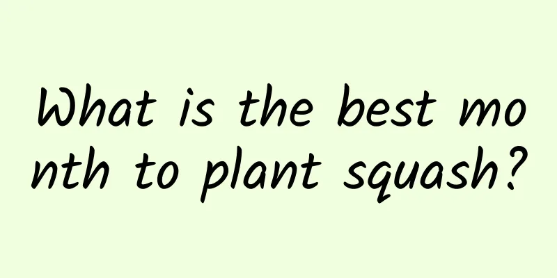 What is the best month to plant squash?