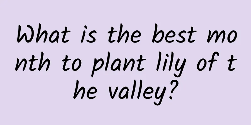 What is the best month to plant lily of the valley?