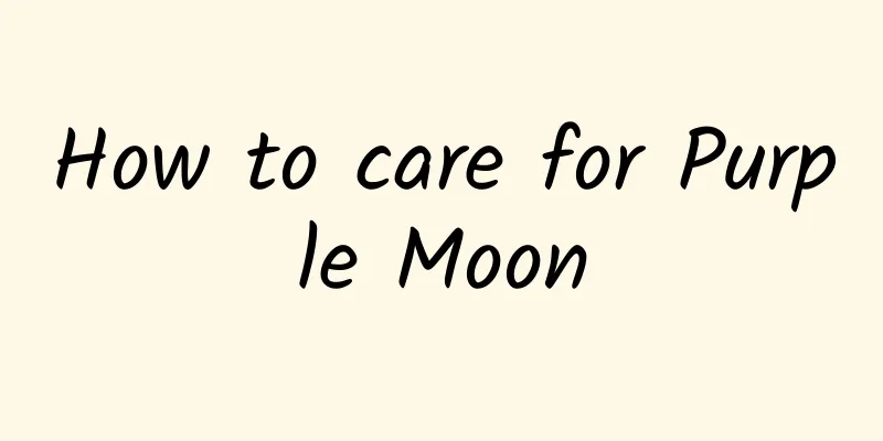 How to care for Purple Moon