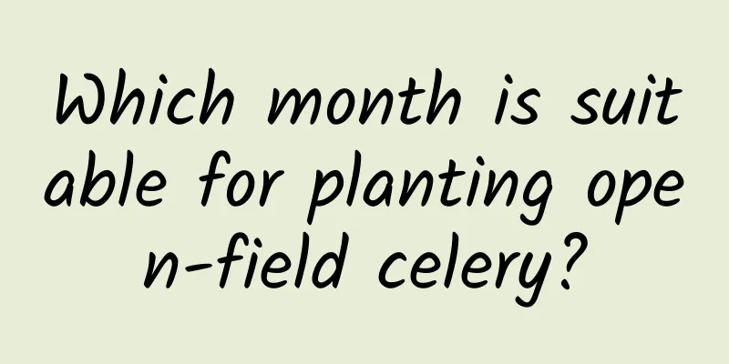 Which month is suitable for planting open-field celery?