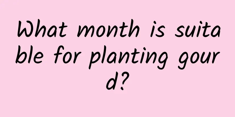 What month is suitable for planting gourd?