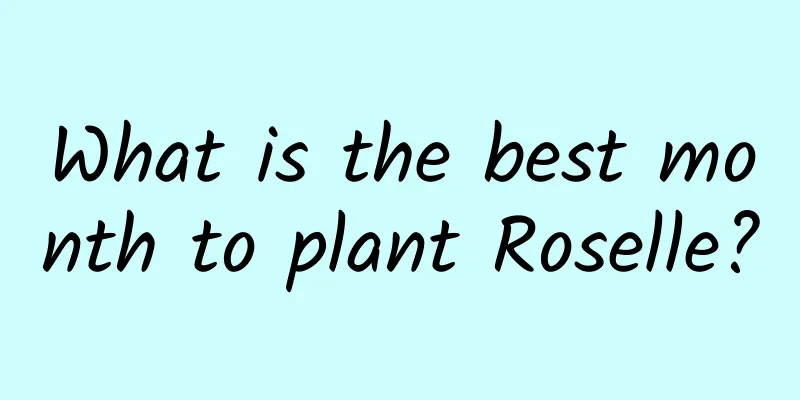 What is the best month to plant Roselle?