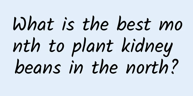 What is the best month to plant kidney beans in the north?