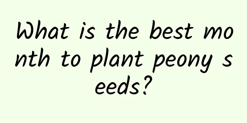 What is the best month to plant peony seeds?