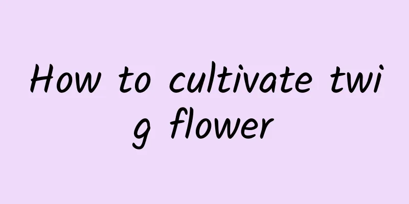 How to cultivate twig flower