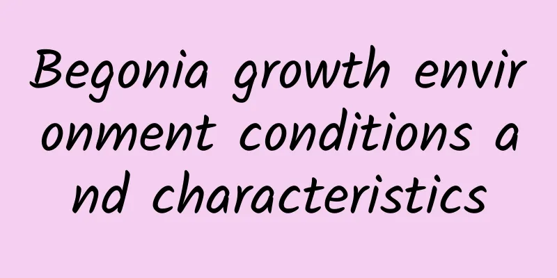 Begonia growth environment conditions and characteristics