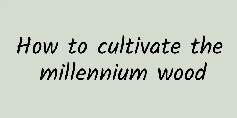 How to cultivate the millennium wood