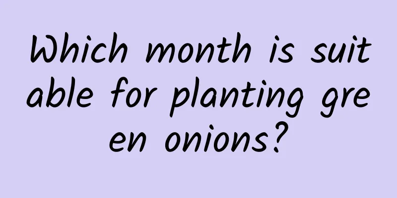 Which month is suitable for planting green onions?