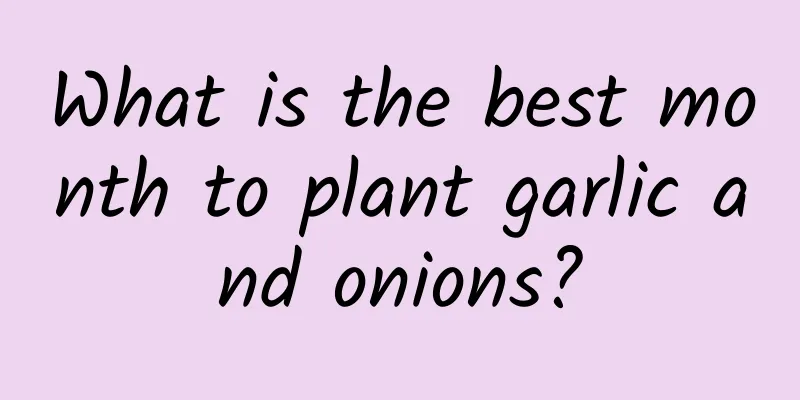 What is the best month to plant garlic and onions?