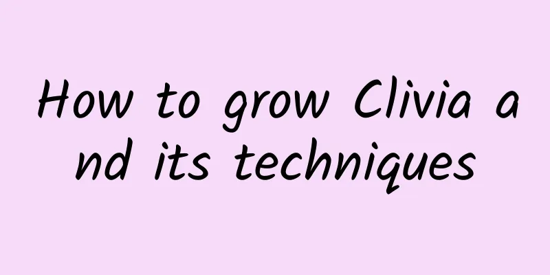 How to grow Clivia and its techniques