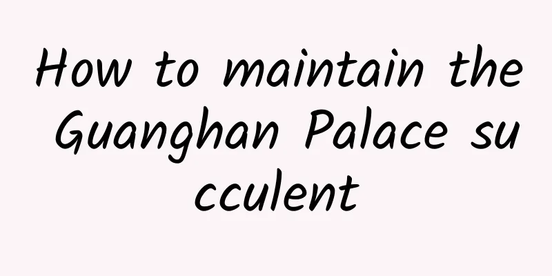 How to maintain the Guanghan Palace succulent