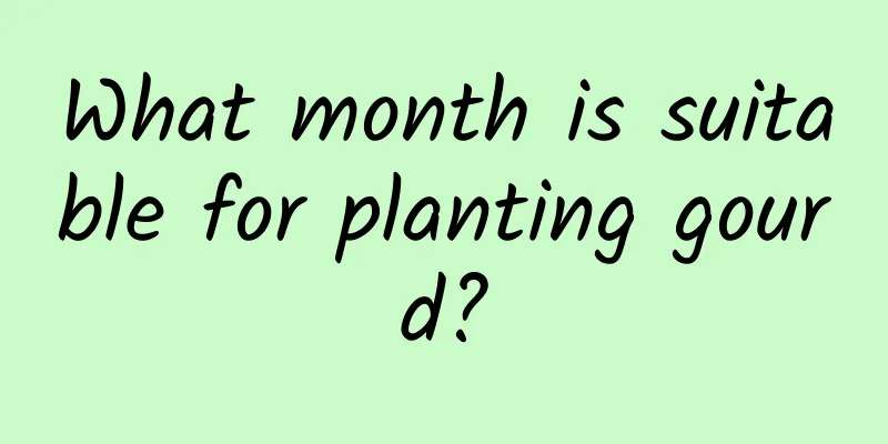What month is suitable for planting gourd?