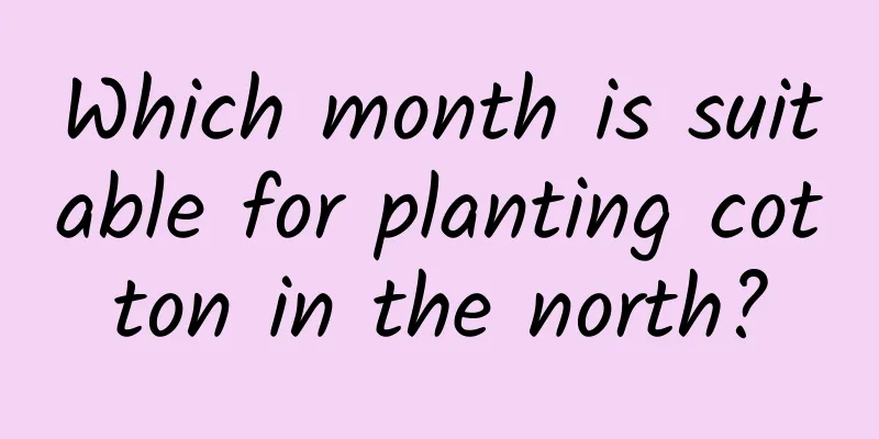 Which month is suitable for planting cotton in the north?