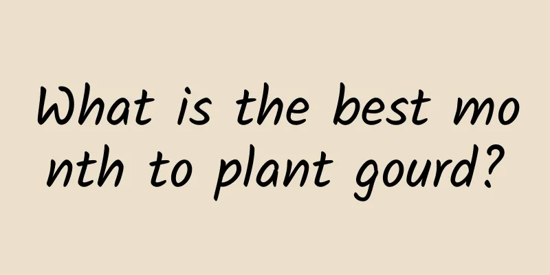 What is the best month to plant gourd?