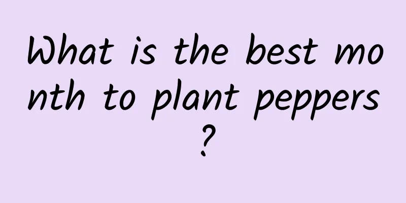What is the best month to plant peppers?