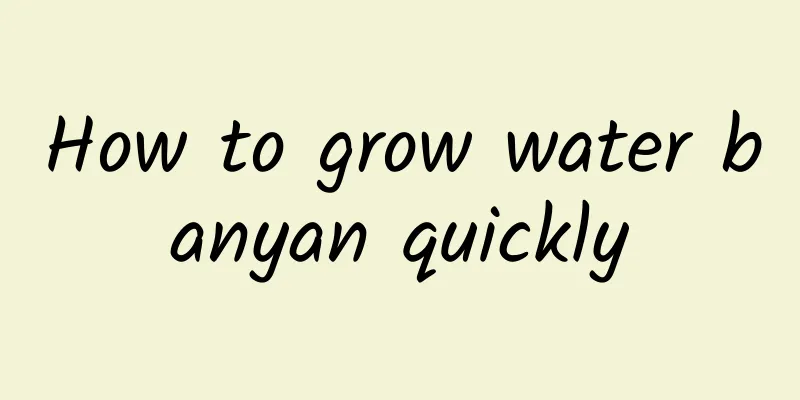 How to grow water banyan quickly