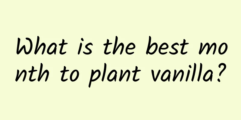 What is the best month to plant vanilla?