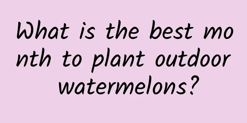 What is the best month to plant outdoor watermelons?