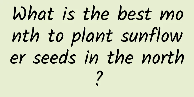 What is the best month to plant sunflower seeds in the north?