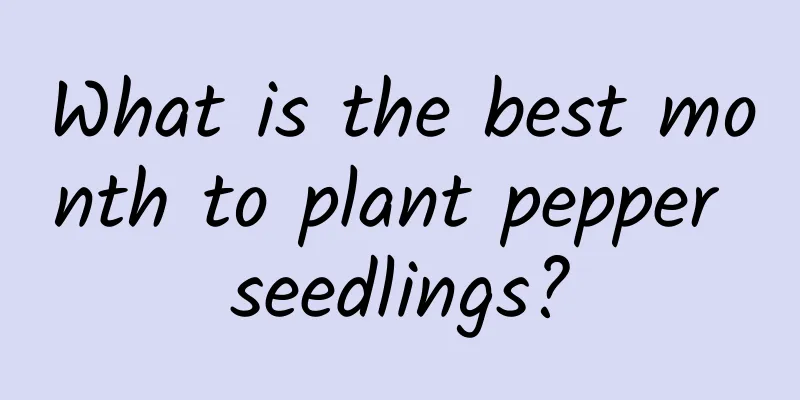 What is the best month to plant pepper seedlings?