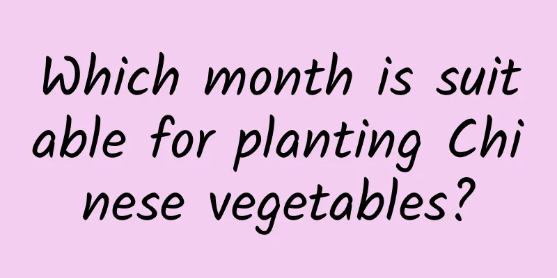 Which month is suitable for planting Chinese vegetables?