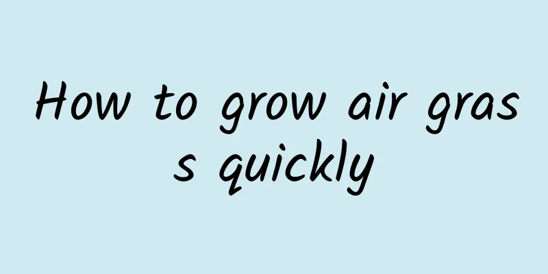 How to grow air grass quickly