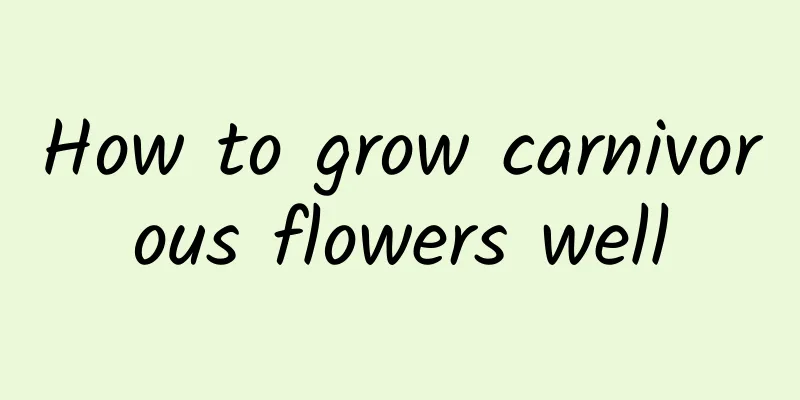 How to grow carnivorous flowers well