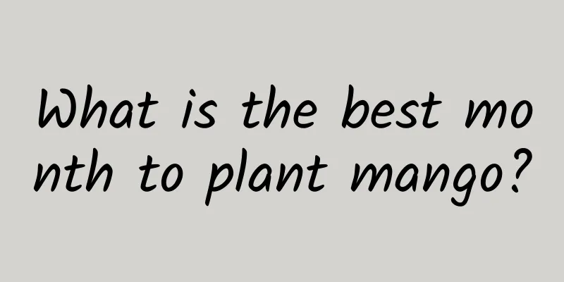 What is the best month to plant mango?